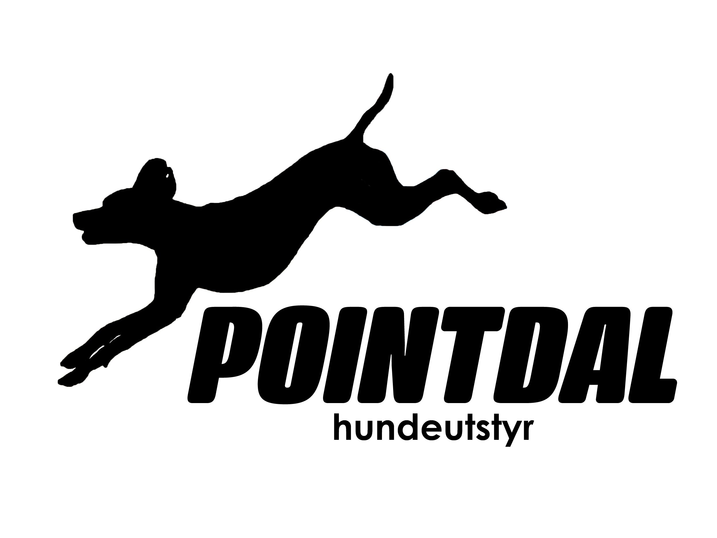 Pointdal